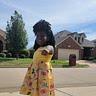 Kellystar James
