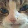 No m