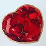 Carol Scadden