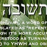 Teshuvah - Turn Back to יהוה!