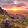 Dartmoor Briton