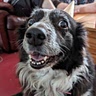 Sam .