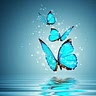 Princess _J