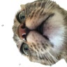 Hermance