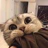 Adel