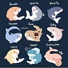 Sharky