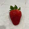 Anonymous Strawberry