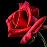 GRACE