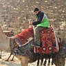 Mohamed Elokely