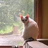 Aunt Kitty