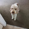 Barry