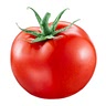 jack dev