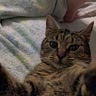 Katelyn