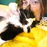 Lindy