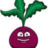 Beet Root