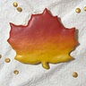 Kaya M