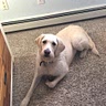Maddie Sites
