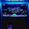 House Reef