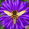 Aticia Ryan