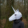 TheMaskedUnicorn