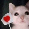 Andy