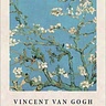 Ping Vin