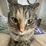 Maddie