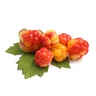 1 1/2 cups cloudberries (or other berries, 300 milliliters)