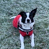 Amy Jane