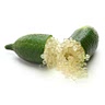 1 Australian Finger Lime