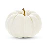 1/2 medium white pumpkin, peeled and deseeded