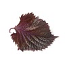 red perilla leaves ((optional) rubbed with salt and washed)