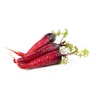 7 large red carrots (fresh )