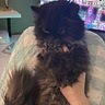 tina