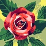 C. N.