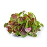 Spinacini verdi e rossi 60 g