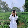 Huy Quang