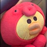 Squid Duck
