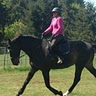Diane Hart