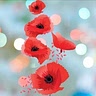 Poppy Byerley