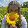 Hannah Seely