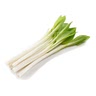 hosta shoots