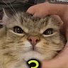 Andrei