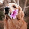 Animal Lover ♡
