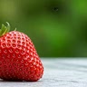 1 test