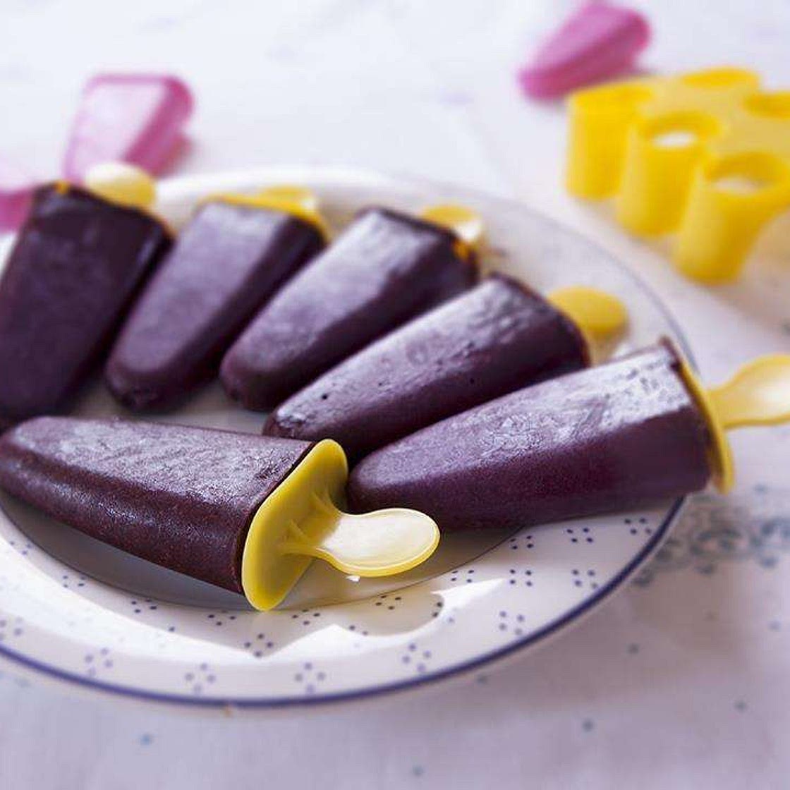 Blueberry Ice Blocks