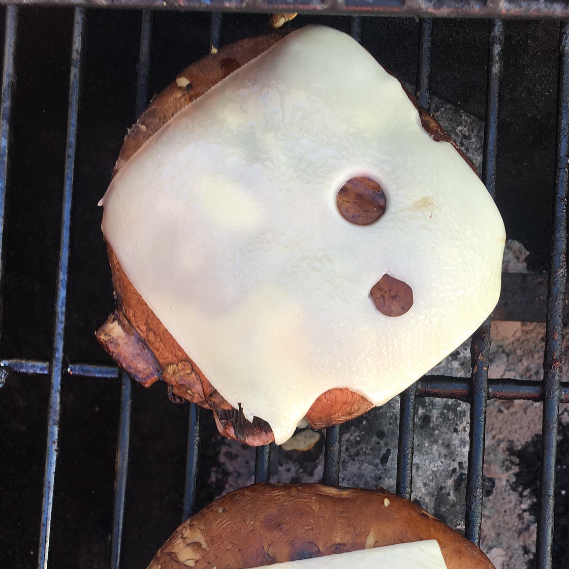 Portobello Mushroom Burgers