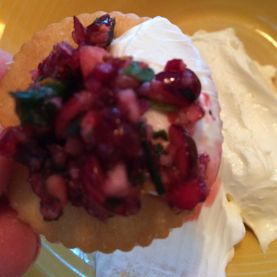 Cranberry Salsa