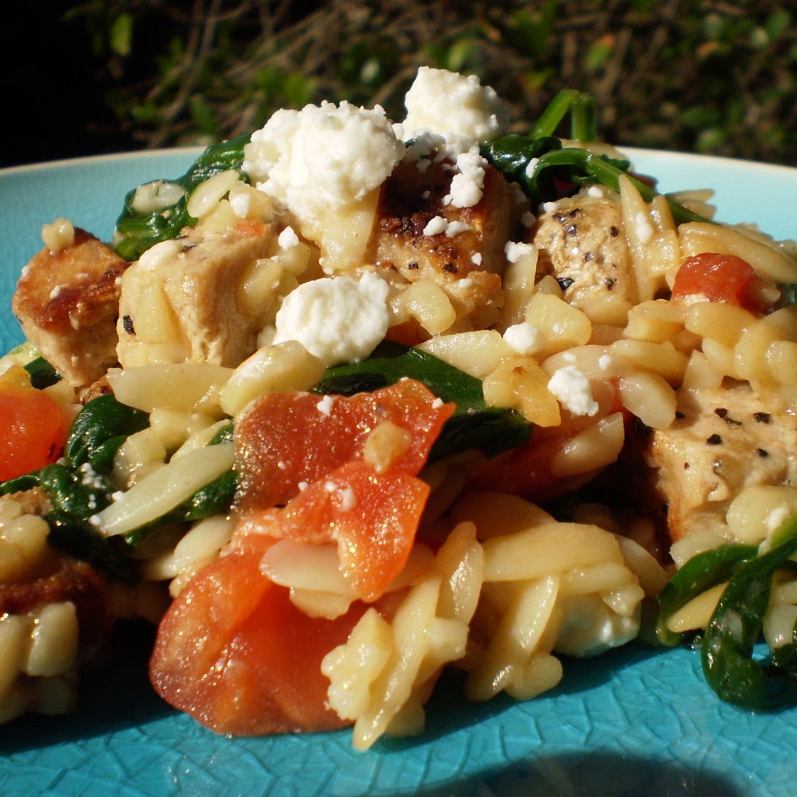 Mediterranean Pork and Orzo