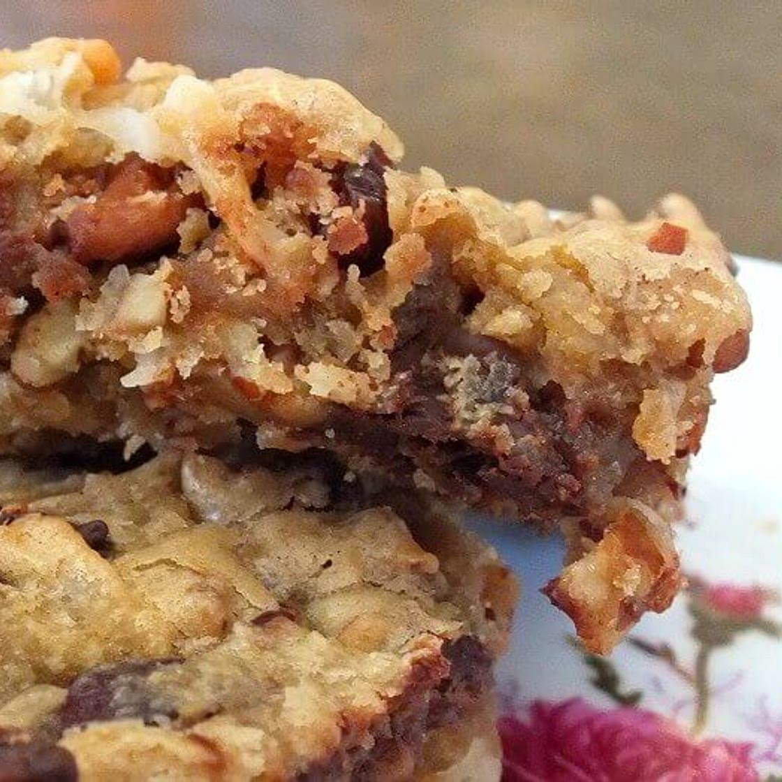 Coconut Dried Cranberry Blondie Bars
